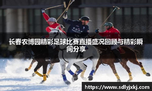 长春农博园精彩足球比赛直播盛况回顾与精彩瞬间分享